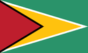 Guyana flag
